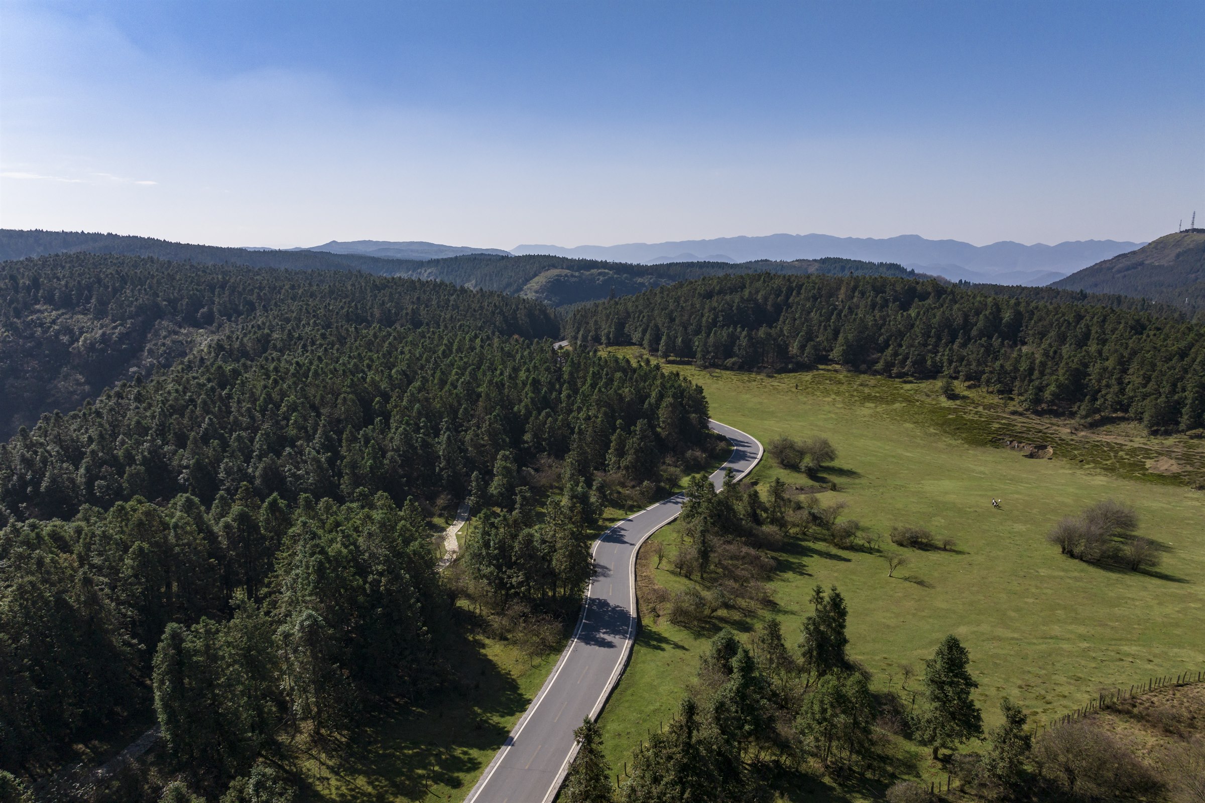 Open meadow and forest roads at Fairy Mountain